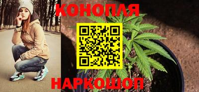 Альфа ПВП Кимры