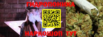 Альфа ПВП Кимры